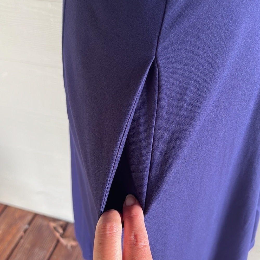 Anthropologie Maeve “Renaissance” Dress - Picture 6 of 10